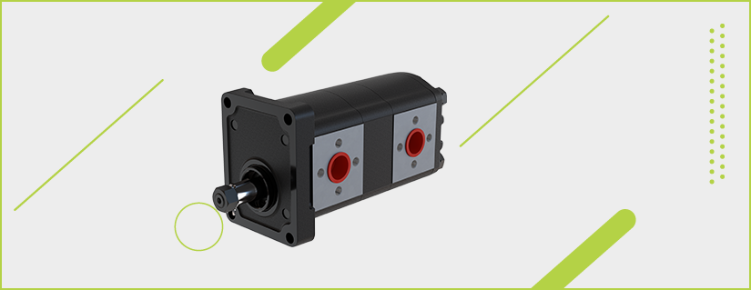 20 GRUBU DÖKÜM DİŞLİ TANDEM POMPALAR