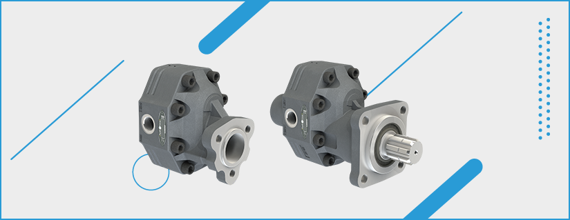 30 SERİSİ DİŞLİ POMPALAR